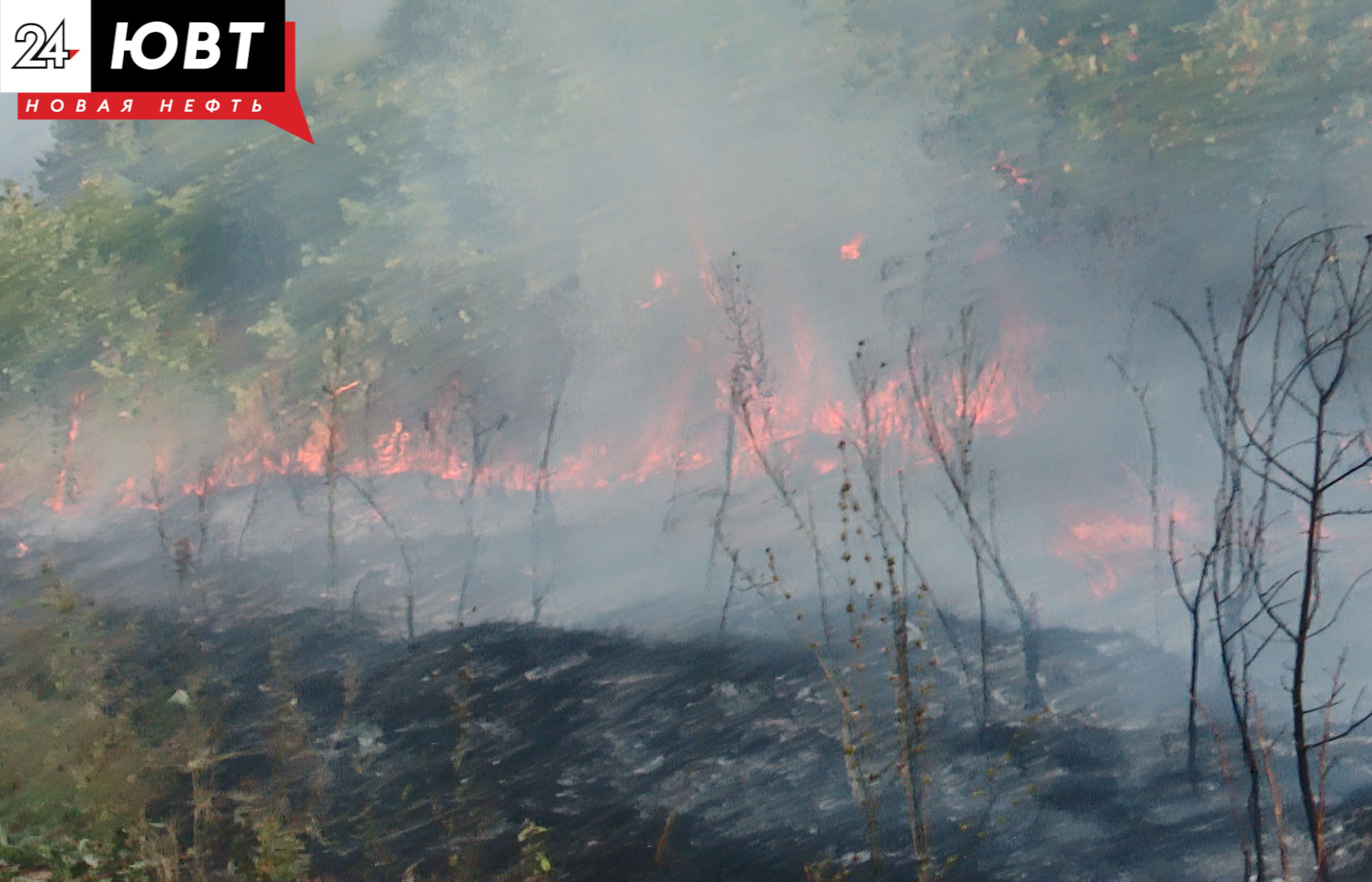 В Альметьевском районе возле села Сулеево произошел пожар